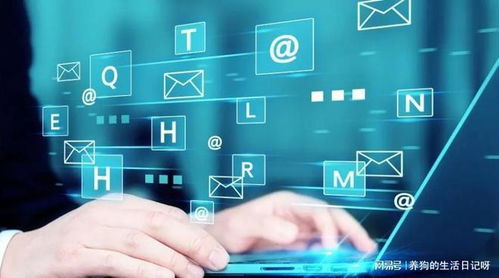 湖南助企文化傳媒 企業(yè)網絡營銷推廣與網絡經營實戰(zhàn)指南