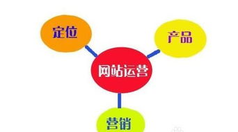 從策劃到技術(shù) 網(wǎng)站運(yùn)營(yíng)與SEO實(shí)戰(zhàn)經(jīng)驗(yàn)及方案構(gòu)建思路分享